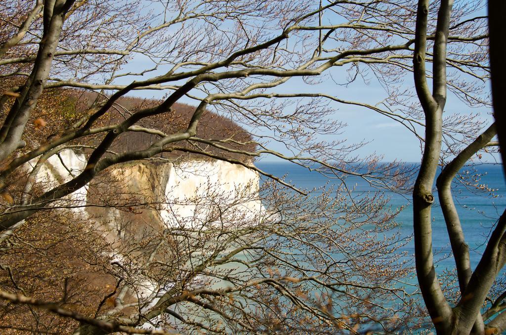 Mare Balticum Urlaub Auf Ruegen Sagard Exterior foto
